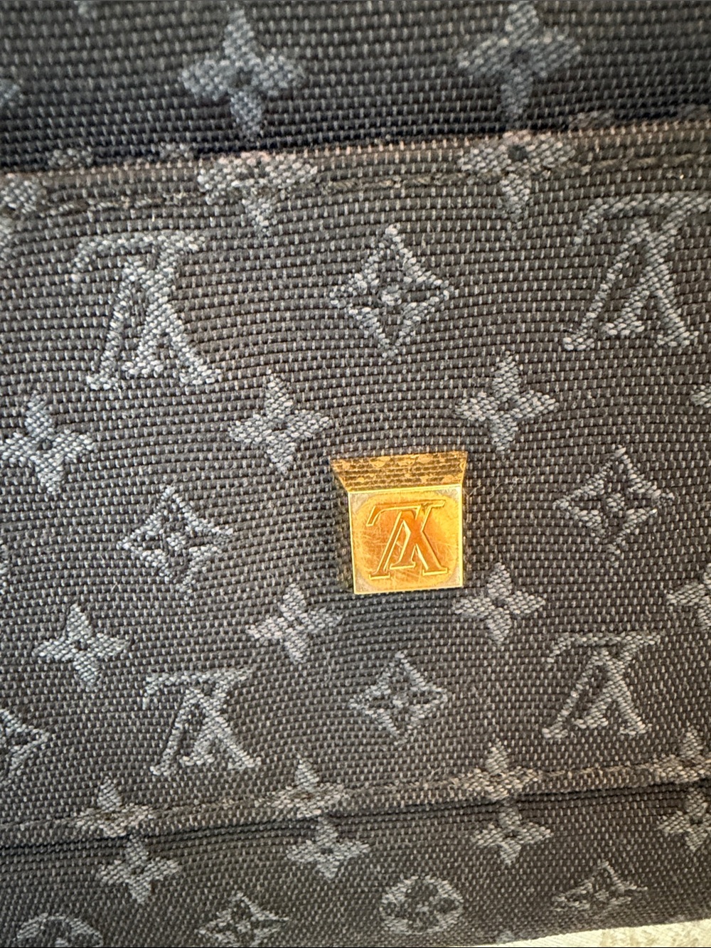 Louis Vuitton Josephine Mini Lin Sachel - Picture 15 of 15